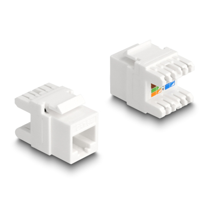 DELOCK keystone module RJ45 σε LSA Cat.6A 88131, toolfree, λευκό