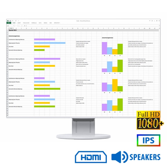 Used (A-) Monitor FlexScan EV2456 IPS LED/Eizo/24"FHD/1920x1200/Wide/Black/w/Sreakers/Grade A-/D-SUB