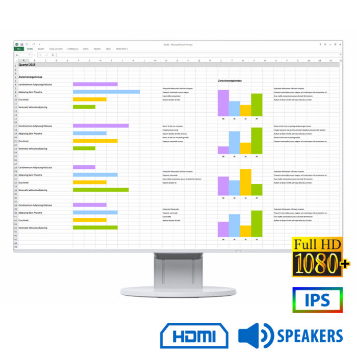 Used Monitor FlexScan EV2456 IPS LED/Eizo/24"FHD/1920x1200/Wide/White/w/Sreakers/D-SUB & DVI-D & DP